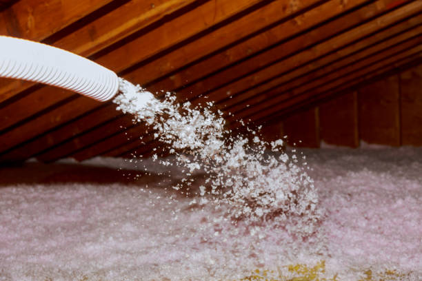 Best Attic Insulation Installation  in Pine Crest, TN