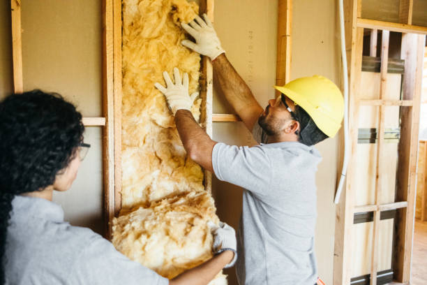 Best Insulation for Commercial Buildings  in Pine Crest, TN