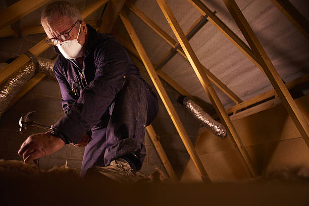 Best Cellulose Insulation  in Pine Crest, TN